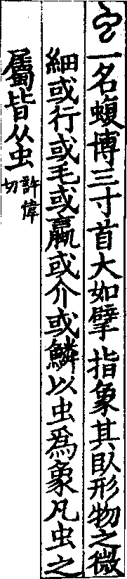 說文解字(大徐本) 虫部．卷一三上．頁6．右
