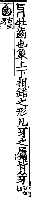 說文解字(大徐本) 牙部．卷二下．頁5．左
