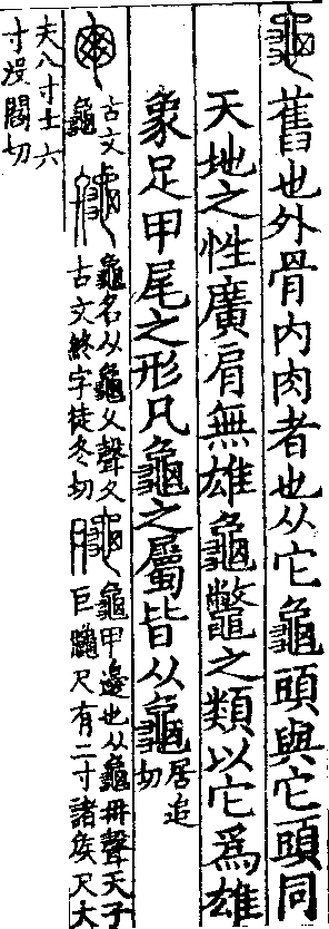 說文解字(大徐本) 龜部．卷一三下．頁2．左